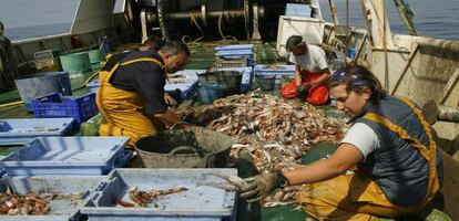 Faenas de pesca en un barco de arrastre del puerto de Castell&oacute;n. 