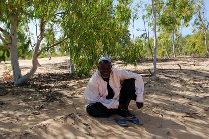 La población de Lompoul, de origen nómada, sonríe a la sombra de los plantones conscientes de los efectos positivos que han traído a sus vidas el hecho de fijar las dunas. 