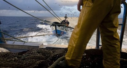 Pesca de sardinas en alta mar.