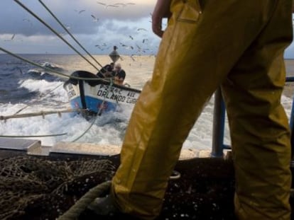 Pesca de sardinas en alta mar.