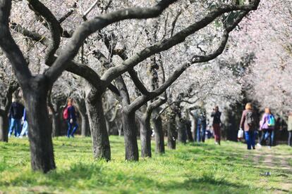 Como el Retiro, la Quinta de los Molinos está considerado como parque histórico por el Ayuntamiento de Madrid.