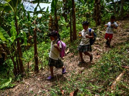 Tres niños de la comunidad Ella Puru Embera, en la provincia de Colón (Panamá) caminan por el bosque para ir a la escuela, en noviembre de 2022.