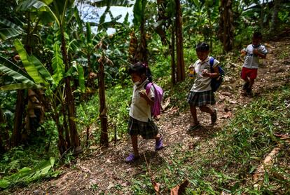 Tres niños de la comunidad Ella Puru Embera, en la provincia de Colón (Panamá) caminan por el bosque para ir a la escuela, en noviembre de 2022.