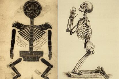 Grabados histricos del esqueleto humano, de Tashrih Musori (siglo XIV) y William Cheselden (siglo XVIII).