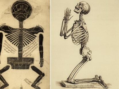 Grabados históricos del esqueleto humano, de Tashrih Musori (siglo XIV) y William Cheselden (siglo XVIII).