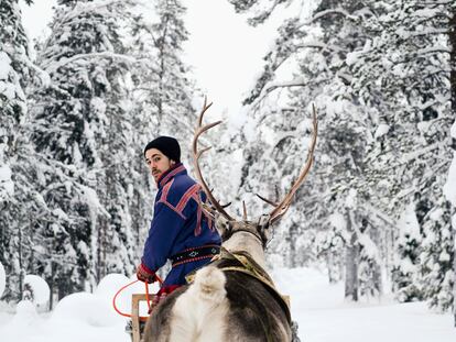 Un pastor de renos sami guía un trineo en el municipio de Utsjoki, en la Laponia finlandesa, en febrero de 2018.