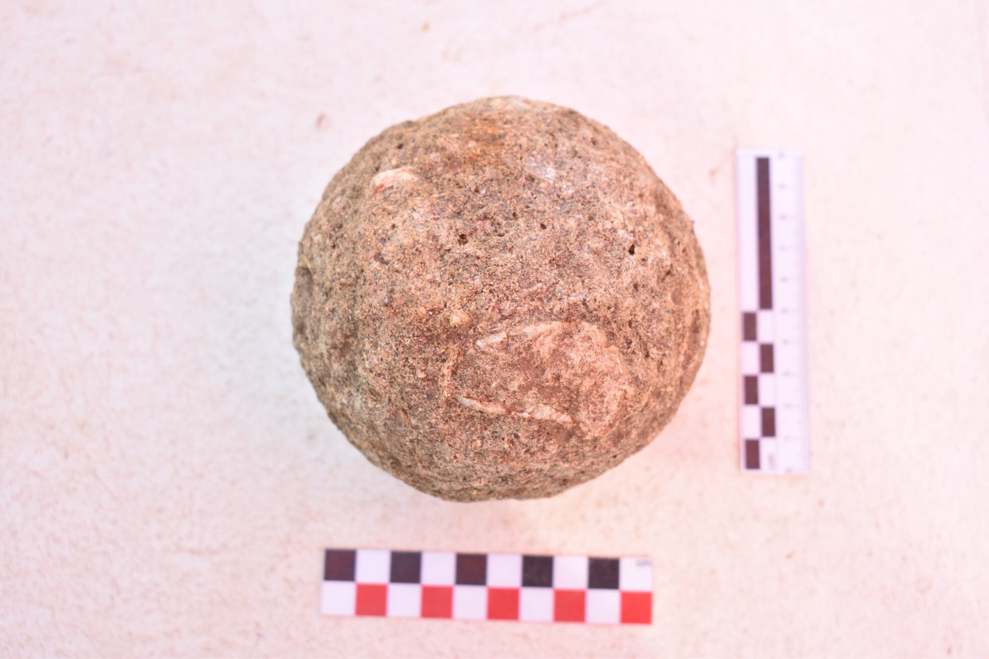 A 2,000-year-old battle elephant bone was found in Spain. Experts are ...