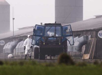 La globalización facilita la difusión de enfermedades como la gripe aviar o el mal de las vacas locas. También permite la llegada a todos los rincones del mundo de productos contaminados, como los dentífricos o los productos lácteos procedentes de China. La sociedad teme un contagio masivo. Isaac Rosa: "Es una sociedad enganchada a todo tipo de pastillas porque no queremos sentir ningún dolor ni físico ni moral ni de sentimientos. Eso nos lleva a entregarnos a cualquier promesa de protección."