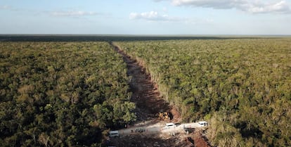 Fotografía tomada con un dron que muestra el impacto de las obras de construcción del tramo 5 del Tren Maya en Playa del Carmen, estado de Quintana Roo (México).