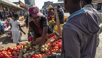 Un vendedor ambulante de tomates en su puesto en las calles de Harare (Zimbaue).