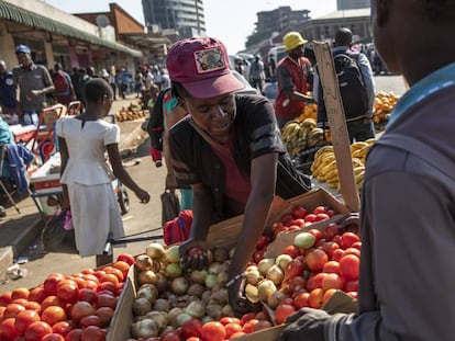 Un vendedor ambulante de tomates en su puesto en las calles de Harare (Zimbaue).