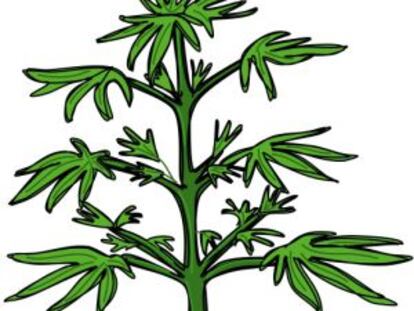 Uruguay toca la marihuana