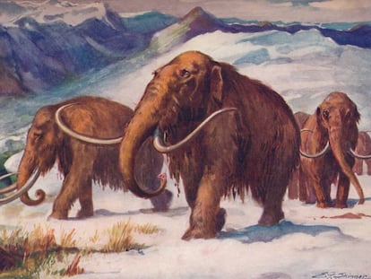 Ilustración de unos mamuts en la Edad de Hielo. 