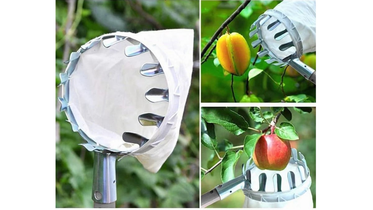 El recolector de frutas tiene un cabezal con dientes afilados.