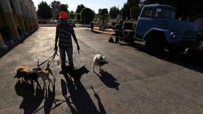 Quince años de prisión por matar a su vecino porque sus perros le molestaban