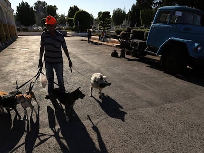 Quince años de prisión por matar a su vecino porque sus perros le molestaban