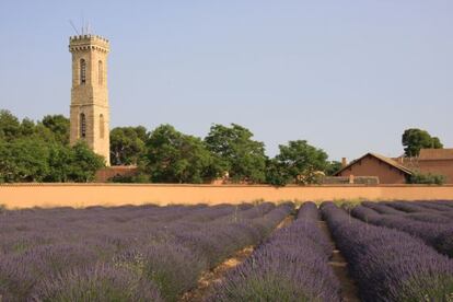 Terrenos de la Dehesa de Los Llanos, en Albacete, propiedad del Grupo Mazacruz. 