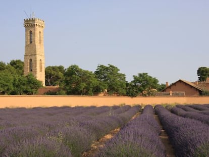 Terrenos de la Dehesa de Los Llanos, en Albacete, propiedad del Grupo Mazacruz. 