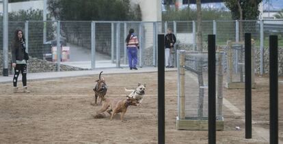 La nova zona per a gossos a Nou Barris.