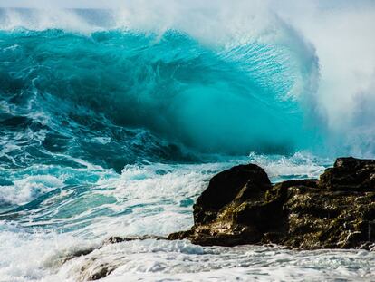 ¿Está nuestro cerebro preparado para un entorno digital?