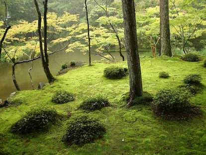 Ejemplo de la técnica del 'shakkei', en el templo zen Saihoji-Kokedera de Kioto.