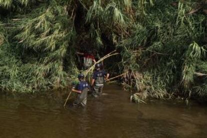 Tres agentes buscan al bebé en el río.