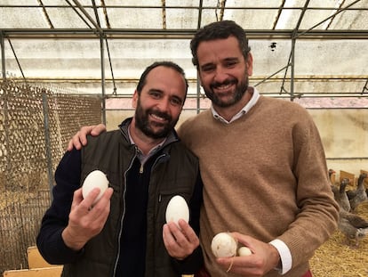 Huevos de oca, solo en temporada