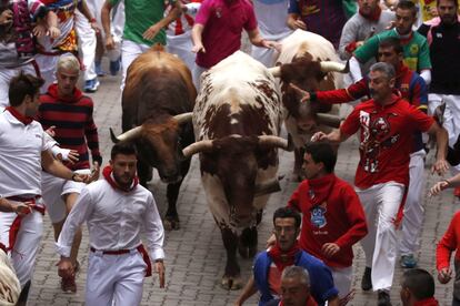 La manada de la ganadería madrileña de Victoriano del Río, a su llegada al callejón de la plaza pamplonica, durante el sexto encierro.