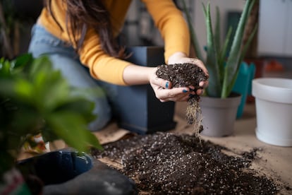 El sustrato para cultivar plantas en maceta ha de tener una porosidad elevada para favorecer el crecimiento de las raíces.