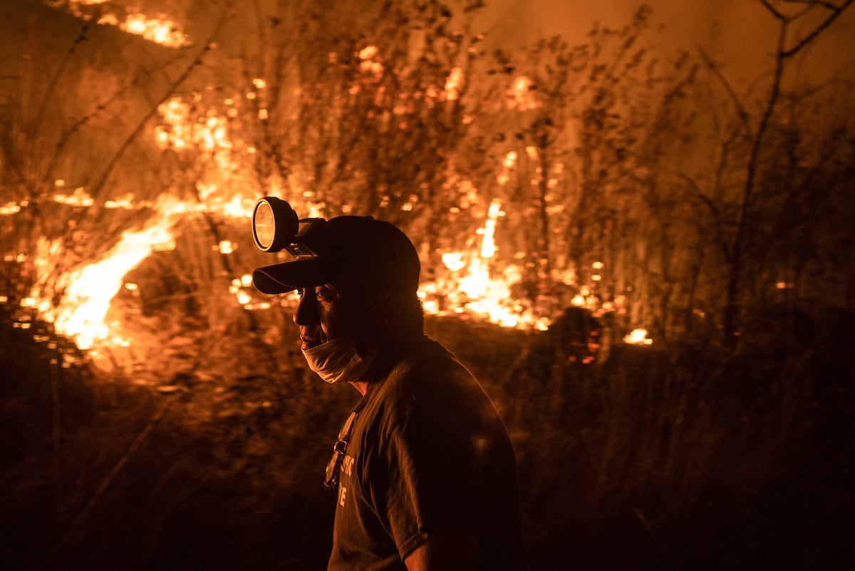 México Registra 116 Incendios Forestales Activos El PaÍs México