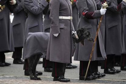 Las guardias irlandesas, entre ellas Irish Wolfhound Domhnall, su mascota del regimiento, forman una Guardia de Honor militar para el Primer Ministro japonés, Shinzo Abe, en la Oficina de Asuntos Exteriores y de la Commonwealth (FCO), en el centro de Londres.