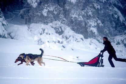 Un hombre se desliza en trineo tirado por dos perros sobre la nieve en Cabeza de Manzaneda (Ourense)