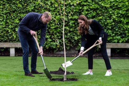 Durante su visita a Saint Andrews, este miércoles, los duques de Cambridge también participaron en una actividad de plantación de árboles.