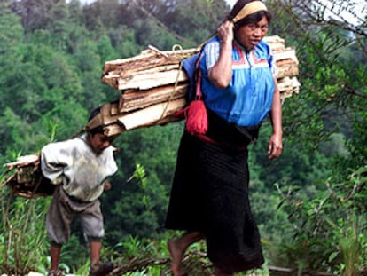 Una mujer maya transporta leña junto a su hijo en San Juan de Chamula (Estado mexicano de Chiapas).