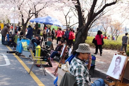 Carituristas en el parque de Yeouido, bajo los cerezos en flor.