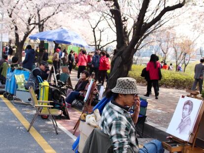 Carituristas en el parque de Yeouido, bajo los cerezos en flor.