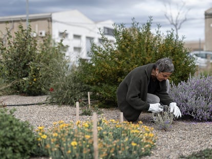 Berta Tasias, directora del Instituto Les Garberes de Jardinería y Agricultura, trabaja entre las plantas.