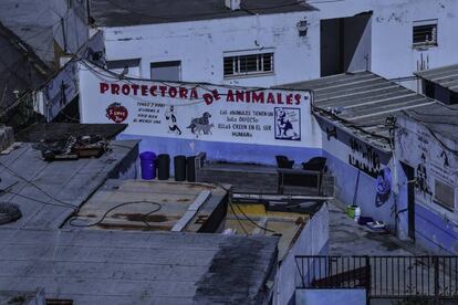 Protectora de animales de Ceuta donde se llevó al perro con rabia.