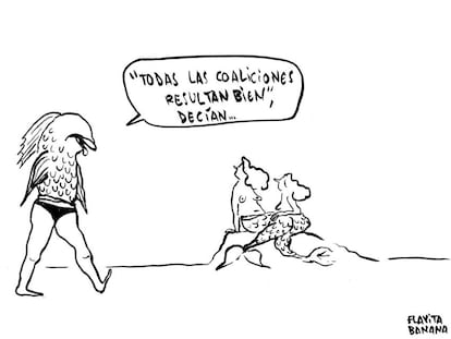 La coaliciones, por Flavita Banana