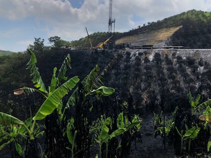 Una parcela afectada por el derrame de petróleo de Pemex, en Papantla, Estado de Veracruz, el 14 de agosto de 2022.