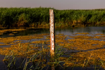 Escala para medir la profundidad de la inundación en la zona del tablazo. SAMUEL SÁNCHEZ