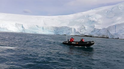 Recogida de microplásticos con una red en la costa antártica del proyecto AntarPLAST.