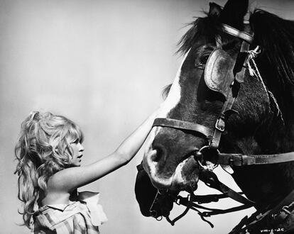 Retrato de la actriz francesa Brigitte Bardot acariciando un caballo, hacia los años sesenta.