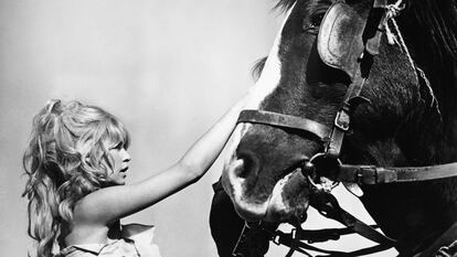 Retrato de la actriz francesa Brigitte Bardot acariciando un caballo, hacia los años sesenta.