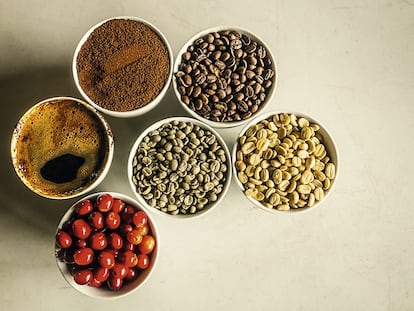 Tipos de café.
