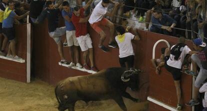 El toro 'Neurona' embiste en los encierros de San Roque (Cádiz).