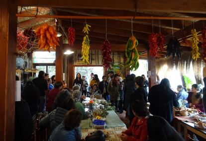 Txafkintü o intercambio de semillas tradicionales en el restaurante de Zunilda Lepín en Temuco antes de la pandemia.