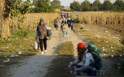 Refugiados caminan hacia la frontera con Croacia en Sid (Serbia), este martes.