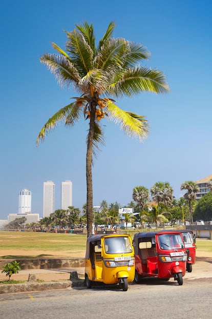 Los famosos tuk tuk de Colombo.