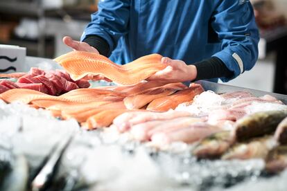 Este tipo de transporte es necesario si se quiere asegurar un estado óptimo de los productos. Los alimentos frescos, como el pescado, pueden ser distribuidos con total garantía.